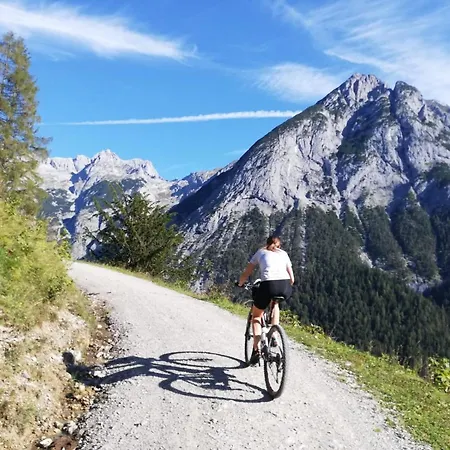 Appartement Fichtenheim *