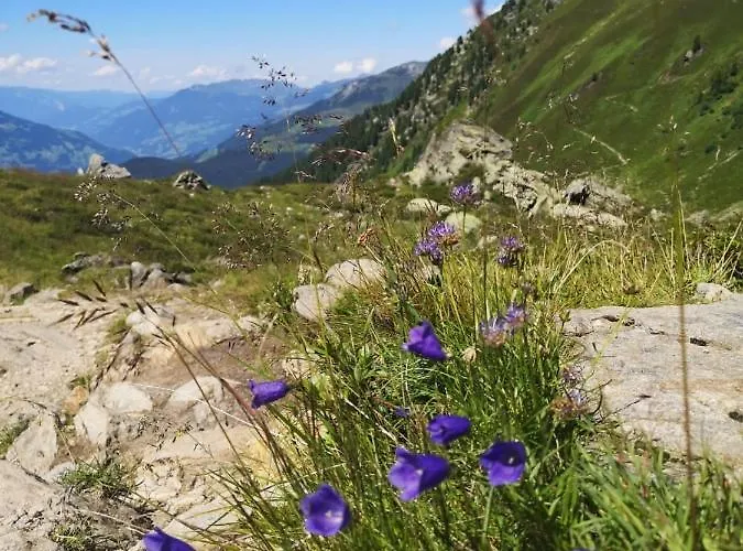 Fichtenheim Апартаменти