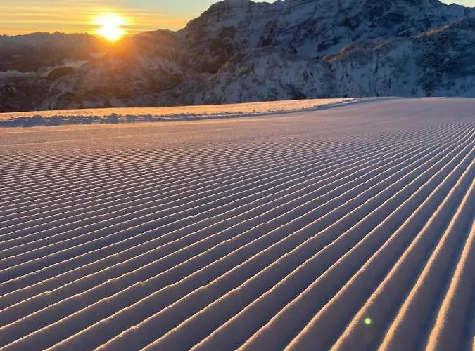 Fichtenheim * Майрхофен