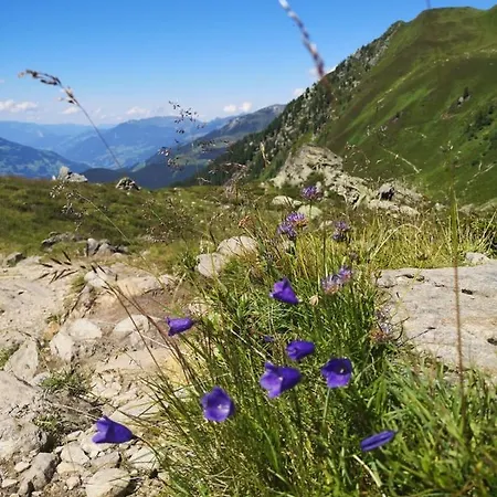 Fichtenheim Apartament