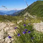 Fichtenheim Апартаменты